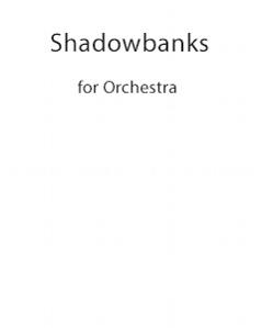 Shadowbanks for Large Orchestra