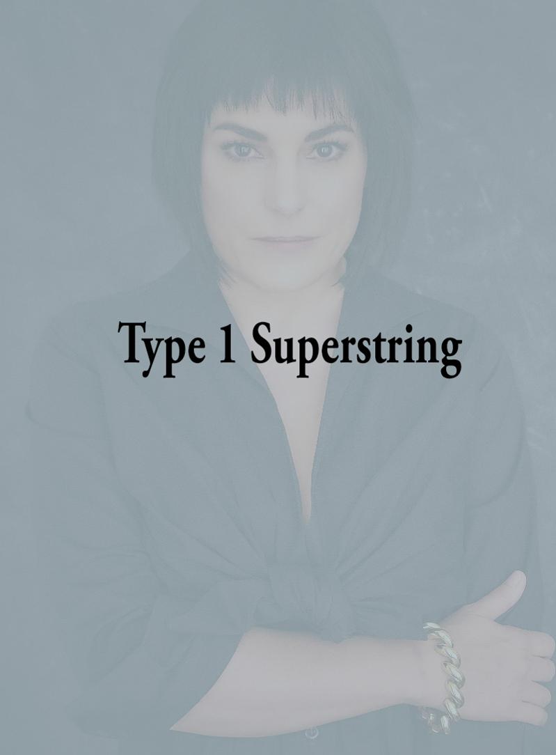 Type 1 Superstring 